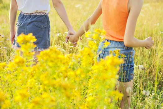 Friendship symbol, kids girls holding hands walking forward together, summer meadow with flowers and herbs background