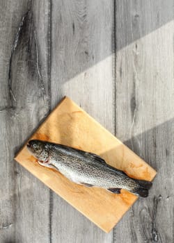 Tabletop view, raw trout fish on chopping board, morning sun shining from side to the gray boards desk.