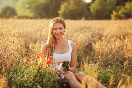 Young woman sitting with Jack Russell terrier puppy on her lap, afternoon sun lit wheat field in background, red poppy flowers next to her.