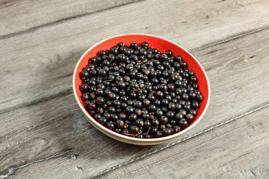 Ceramic bowl, red inside, with freshly picked blackcurrants (Ribes nigrum) on gray wood desk.