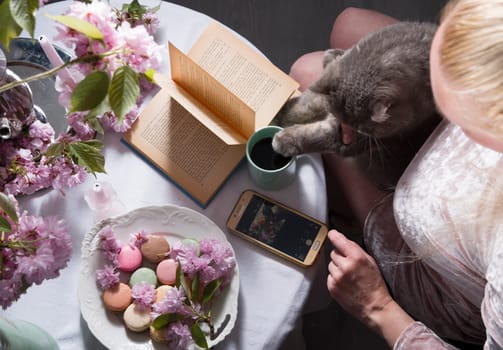 caucasian blogger girl sits with a british gray cat at a table with cakes and an open book, As,Belgium, May 5, 2021, High quality photo
