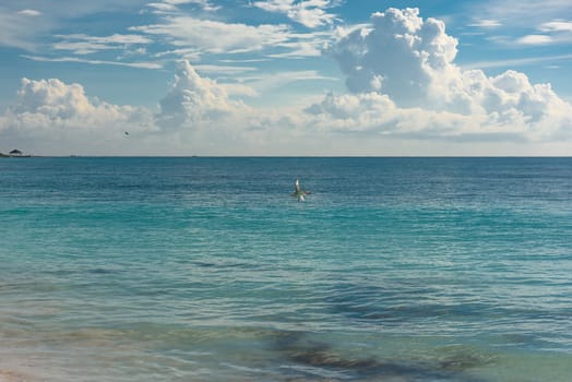 Sea shore on the Caribbean beach in the Area Hoteleria in Cancun Quintana Roo Mexico.