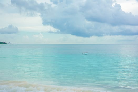 Sea shore on the Caribbean beach in the Area Hoteleria in Cancun Quintana Roo Mexico.