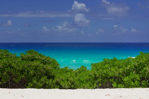 Sea shore on the Caribbean beach in the Area Hoteleria in Cancun Quintana Roo Mexico.