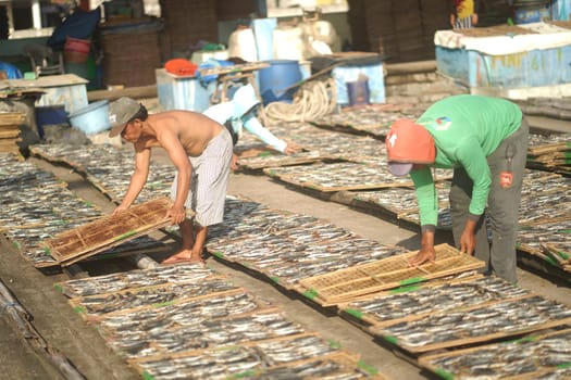Banyuwangi, Indonesia - October 9, 2021 : People drying fish at the fishing port. Street Photography Editorial
