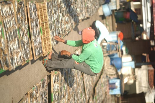 Banyuwangi, Indonesia - October 9, 2021 : People drying fish at the fishing port. Street Photography Editorial