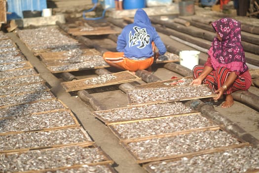 Banyuwangi, Indonesia - October 9, 2021 : People drying fish at the fishing port. Street Photography Editorial
