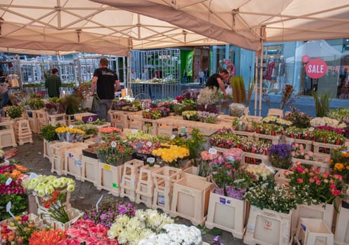 different flowers are sold in the market in baskets, with price tags, Maastricht,Netherlands,August 27,2021, High quality photo