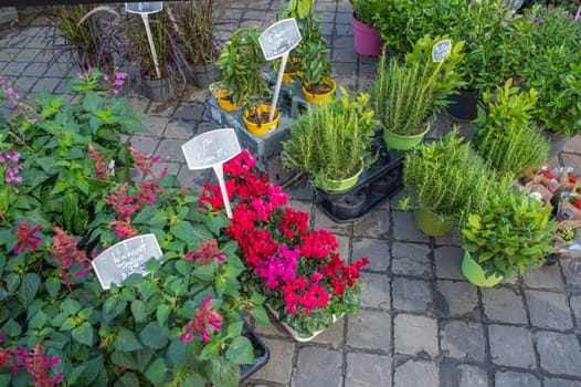 different flowers are sold in the market in baskets, with price tags, High quality photo