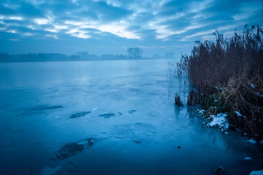 View of a frozen lake with reeds on a foggy evening, Stankow, Lubelskie, Poland