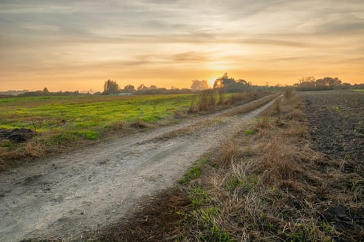 Dirt road through the fields and evening sunset, summer view, eastern Poland