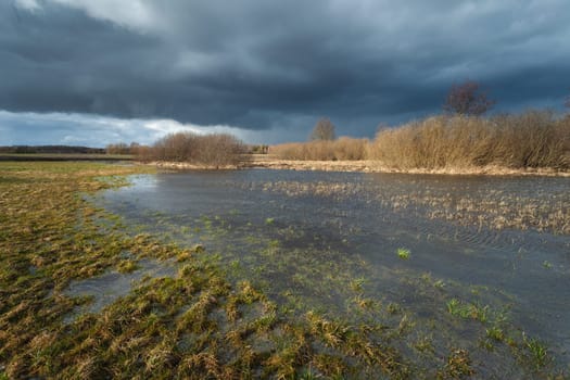 Flooded pasture and dark cloudy sky, Nowiny, Lubelskie, Poland