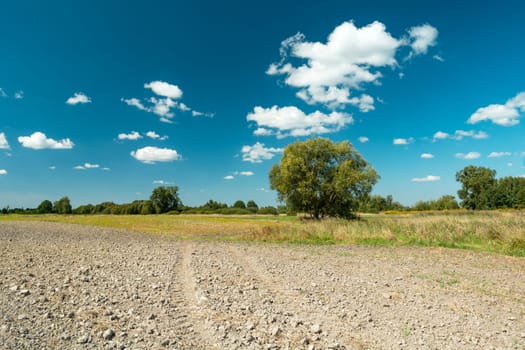 A tree behind a plowed field and white clouds on a blue sky, summer day, eastern Poland