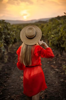 portrait of a happy young woman 30-32 years old in the summer vineyards at sunset. woman in a hat and smiling