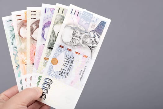 Czech money - Crowns  in the hand on a gray background