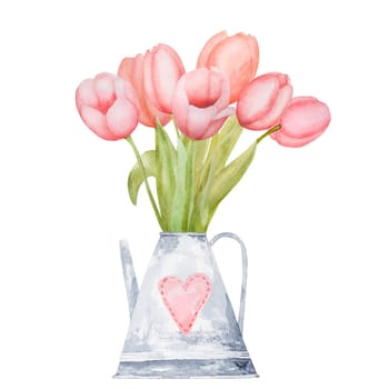 Beautiful pink tulip flowers in watering can watercolor paiting. Spring blossom garden plant aquarelle art