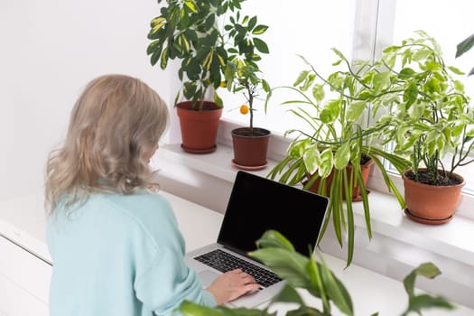 Positive young woman using a laptop at home, video conference. Cozy home interior with indoor plants. Remote work, business, freelance, online shopping, e-learning concept.