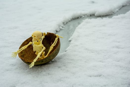 the skeleton rides on the hemisphere as on a sled in the snow. Skeleton chili and having fun creative composition