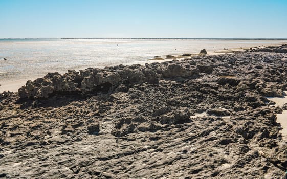 Small irregular dry stones visible at sand beach washed by sea water on a sunny day, closeup detail.