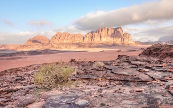 Red sandstone rocks formations with few dry shrubs or bushes in Wadi Rum (also known as Valley of the Moon) desert, Jordan. Morning sun shines to mountains background.