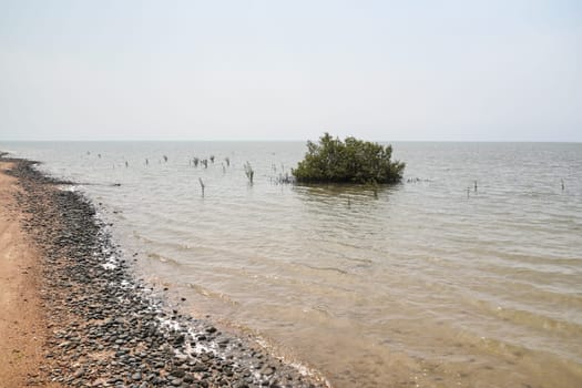 Typical beach near red sea in Yanbu, Saudi Arabia. As of 2022, swimming outside isn't popular at this country due to Islamic cultural traditions, so not many tourist resort with nice beaches.