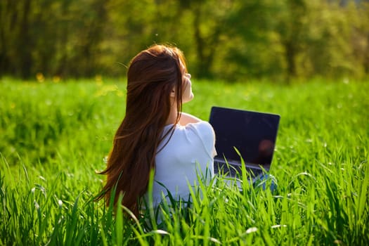 woman with laptop sitting with her back to the camera in a field. High quality photo
