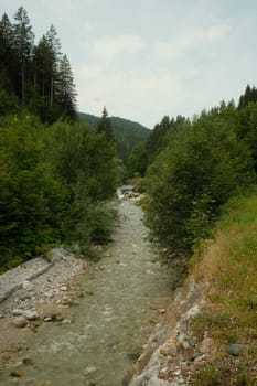 View of the mountain river Leoganger Ache near Leogang, Salzburg in Austria