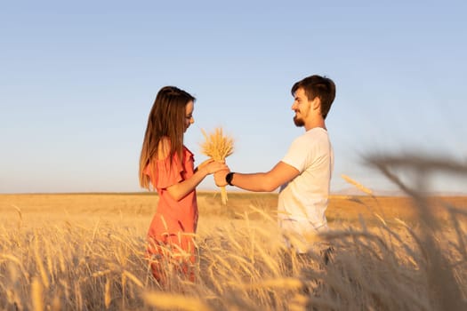 Young couple in the wheat field, The woman is grabbing bouquet of dry wheat, summer time.