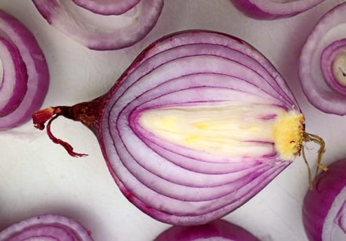 Red onions cut in half on a white cutting board. Top view
