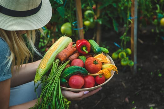 Farmer woman harvests vegetables in the garden. Selective focus. Food.