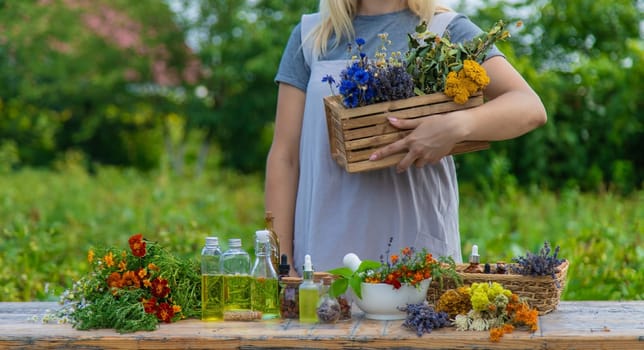 Woman with medicinal herbs and tinctures. Selective focus. Nature.