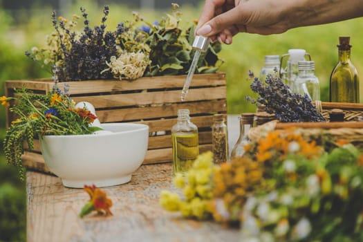 Medicinal herbs and natural tinctures. Selective focus. Nature.