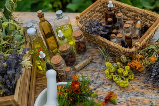 Medicinal herbs and natural tinctures. Selective focus. Nature.