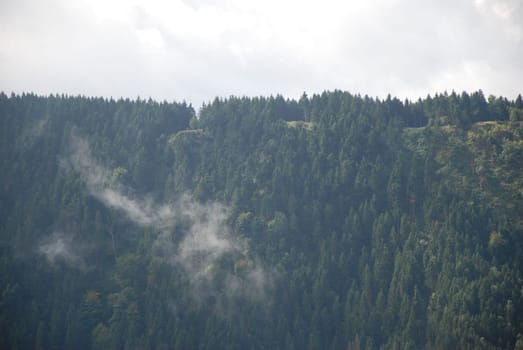 Aerial view of clouds floating over a green forest in the Harz Mountains in Germany