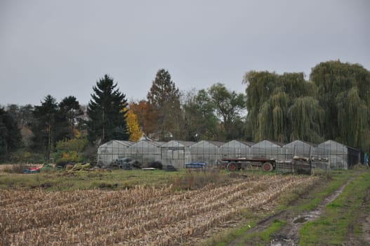 Glass greenhouse on a field with an agricultural trailer in front of it in Germany