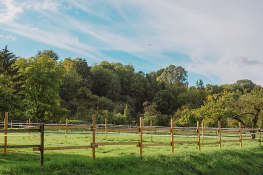 summer medow. beautiful landscape-environmental conservation concepts. Beautiful unusual spring landscape with blooming herbs against the blue sky