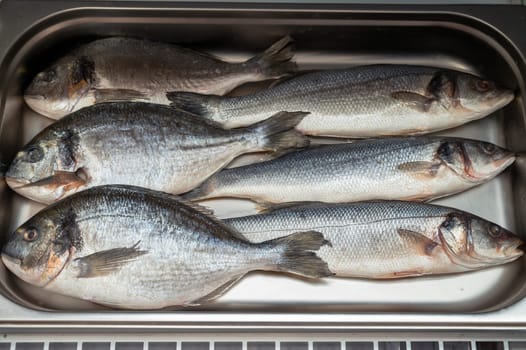 Fresh raw dorado and sea bass fish in the supermarket