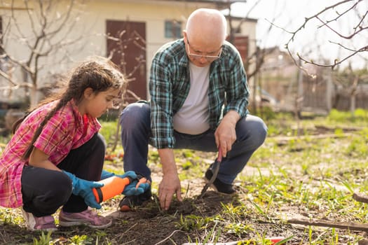 Small girl with senior grandfather in the backyard garden, gardening.