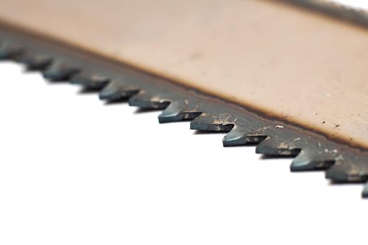 Teeth saws close up, macro photo, isolate on a white background