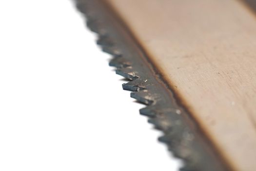 Teeth saws close up, macro photo, isolate on a white background