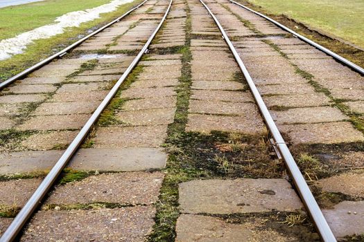 Rails of tram tracks close up with grass and stones