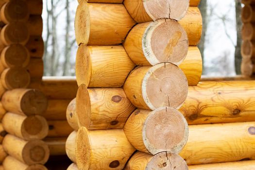 Wooden log house of yellow logs close up