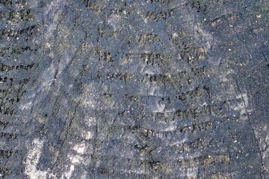 Old blck tree trunk close up, texture of wood