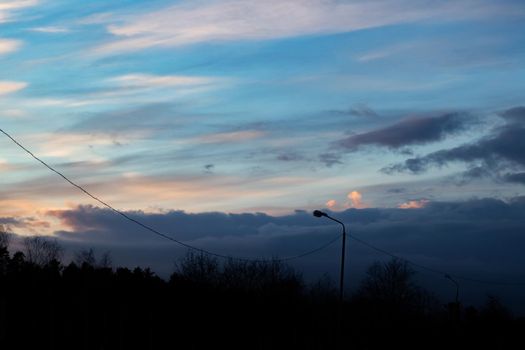 Pink sky and clouds at sunset and tree silhouettes, background