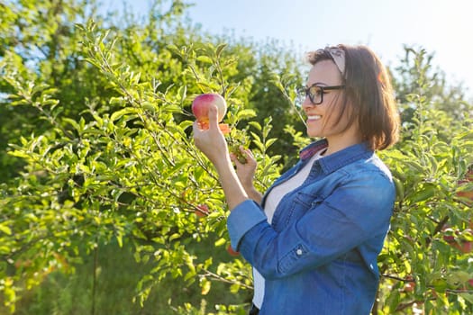 Woman gardener with freshly picked red apple in hand, background is tree with apples. Female eats natural, environmentally friendly apple grown in home garden, copy space