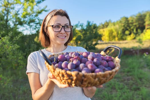 Female gardener with crop of plums in basket, garden background. Hobbies, gardening, growing organic fruits in home garden, healthy natural food