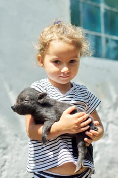 Girl child toddler holding in hands of black newborn baby piglet. Farm, agriculture, country, pets, children concept