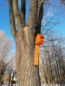 A new wooden birdhouse in the spring on a large tree in the park.A birdhouse on a tree.