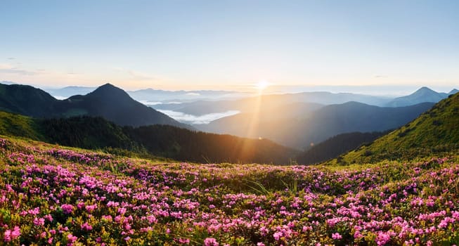 Suset time. Majestic Carpathian Mountains. Beautiful landscape of untouched nature.