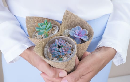 A woman in a white blouse holds three small pots of beautiful succulents in her hands